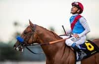 Saudi Cup 2023: Odds, preview, links, U.S. runners to watch.